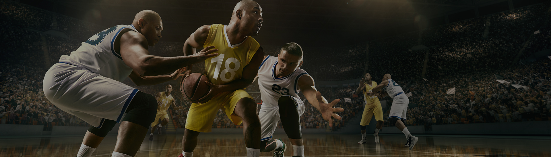 Sports Venue Solutions
