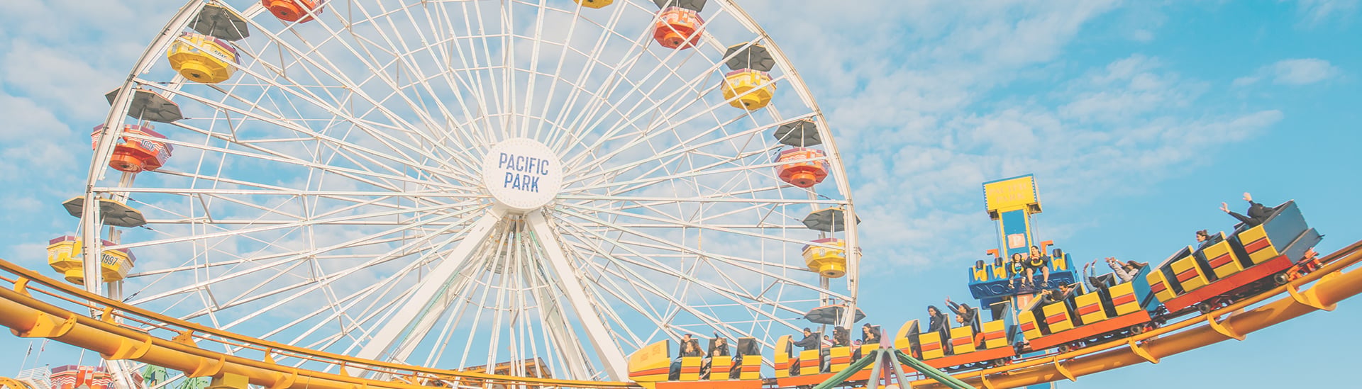 Themed Entertainment Solutions